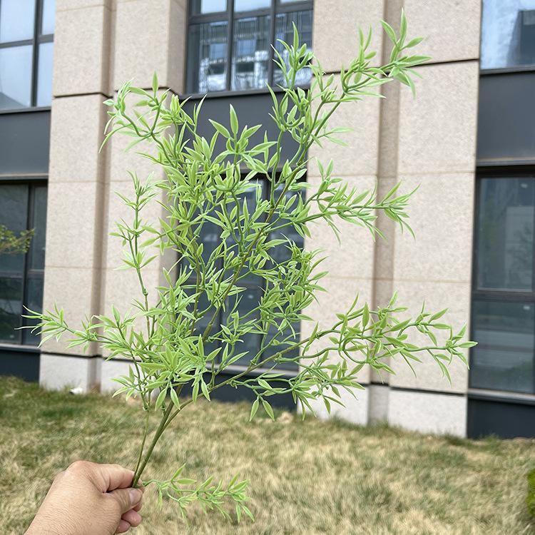 4叉原色竹叶草 绿色.JPG