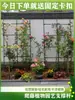 Treliça de Jardim Treliça de Rosa Poste de Suporte Pepino Feijão-vagem Feijão Quatro Estações Suporte de Fixação para Plantas de Vegetais Melão Frutas