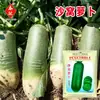 Colección Completa de Semillas de Rábano para Cuatro Estaciones, Semillas de Rábano Shawa para Plantar en el Huerto Casero, Semillas de Zanahoria Verdura de Cuatro Estaciones