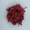 Hortensia Flor Seca Flor Eterna Material Flor Rosa Regalo de Navidad Ramo Hecho a Mano Hortensia de Madera 20g En Caja