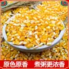 Los sémola de maíz auto-producida por los agricultores del noreste son sémola tradicional de grano medio de grano grueso auténtica de Qiqihar, Heilongjiang.