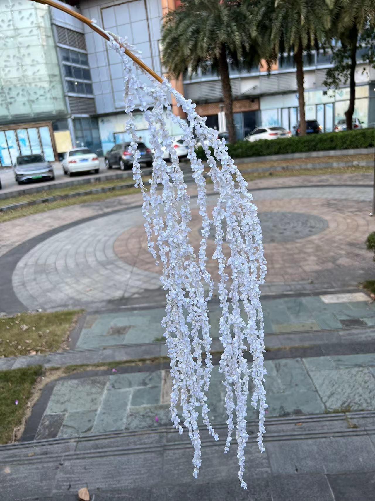 微信图片_20240916102812.jpg