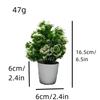 Plantas verdes de simulación superventas transfronterizas, flores creativas en maceta multicolor, muebles para el hogar, decoración de flores de simulación, mini bonsái de generación