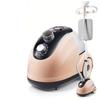 Ferro de passar roupa transfronteiriço para comércio exterior europeu e britânico, ferro de passar roupa de alta potência, grande capacidade, portátil, doméstico, a vapor, vertical