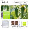 Crecimiento de Plantas, Germinación, Sistema Radicular y Caja de Observación de Venas, Juguetes para Experimentos Científicos para Estudiantes, Set de Plantas Pequeñas en Maceta para Niños