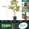 Habitat de folha de glicínia planta verde artificial alto padrão luxo leve interior sala de estar chão árvore falsa biônica planta em vaso