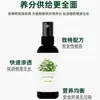 Solución Nutritiva Especial para Hierba de Cobre Verde, Cultivo Hidropónico y en Tierra, Realza el Verde, Promueve el Crecimiento, Previene el Marchitamiento y el Amarillamiento de las Hojas, No Requiere Dilución, Fertilizante al por Mayor