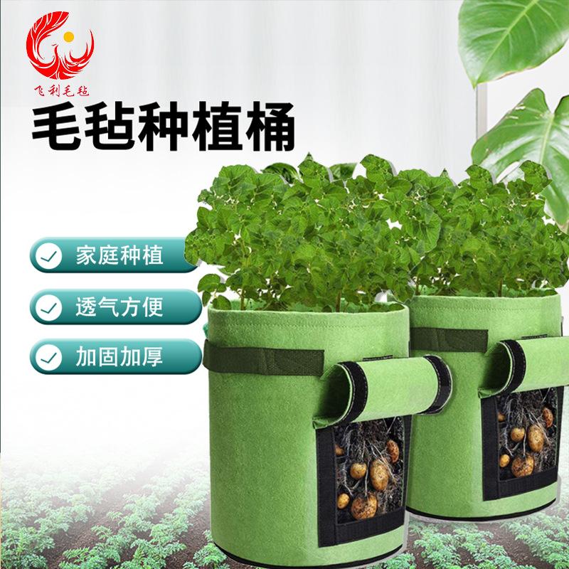 主图2feili-恢复的