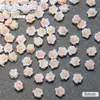 Nueva celebridad de Internet talla de resina grande y pequeña accesorios para uñas de Camelia rosa degradado floreciente joyería para uñas de rosa