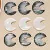 Nuevos Accesorios Versátiles de Resina de Imitación de Concha Natural, Parche de Luna, Materiales para Pendientes DIY al por Mayor