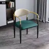 Cadeira de Jantar de Luxo Leve para Uso Doméstico com Encosto, Mesa e Cadeiras de Jantar Modernas Minimalistas para Lazer, Adequado para Cafeteria e Restaurante da Moda