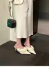 Estilo auto-reservado! Jiji macio como leite! Pantufas pontudas peludas gentis para mulheres 2026 Chegada de Inverno Novos Sapatos de Salto Alto Fechados