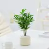 Bonsái Tocón Viejo Bonsái Cuatro Estaciones Plantas Fáciles de Cultivar Escritorio Oficina Floración Resistente a la Sequía Plantas Verdes Plantas Pequeñas en Maceta
