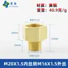 Adaptador de manómetro de cobre puro, reductor con roscas internas y externas M5M6M8M10M12M14*1.5M16 G1/4