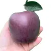 Mudas de Macieira Diamante Negro de Peça Única para Dropshipping, para Plantio em Quintais do Norte e do Sul, Plantas em Vasos, Mudas Enxertadas de Frutas Extra-Grandes Anãs