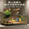 Aquário ecológico de plástico para peixes dourados com tampa transparente para sala de estar, pequeno tanque de mesa para paisagens de luxo, tanque para tartarugas