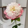 Simulação peônia única multicamadas peônia de Luoyang arranjo de flores para casa sala de estar decoração casamento hotel floral macio atacado