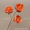 Rosa Austin de Três Cabeças Rosa Búlgara Arranjo de Flores para Casamento Adereços para Fotografia Arranjo de Flores Rosa Decorativa