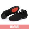 Sapatos de Dança Feiwei, Sapatos de Professor Femininos de Solado Macio, Sapatos de Prática para Adultos Sem Cadarço, Sapatos para Dança Quadrada com Salto, Tênis com Flores, Sapatos de Cheerleading