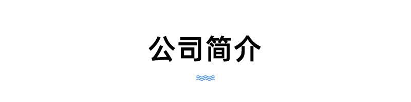 公司简介