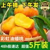 Pêssegos Chatos Arco-Íris, Pêssegos Chatos Manteiga, Frutas Frescas, Pêssegos Chatos Dourados em Óleo, Caixa de Presente Sazonal Inteira de Mengyin, Shandong
