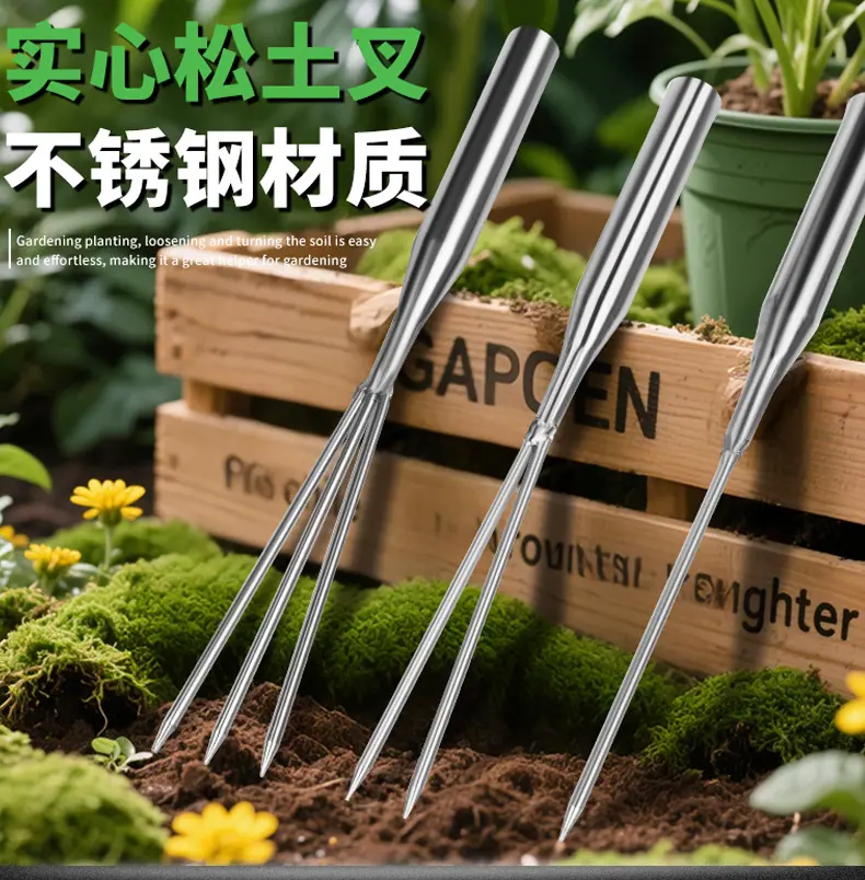 详情_01.jpg