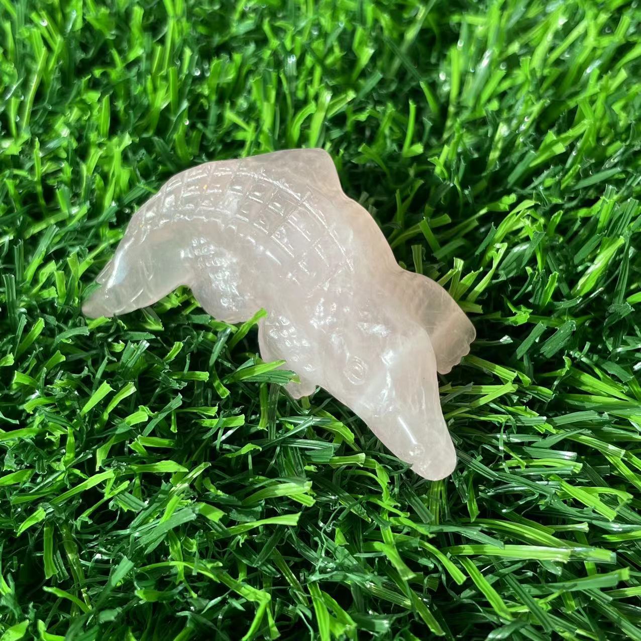 crystal alligator (3)