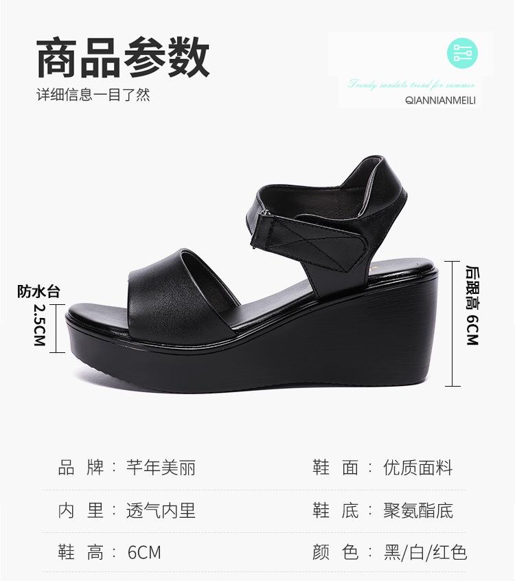 详情_04.jpg