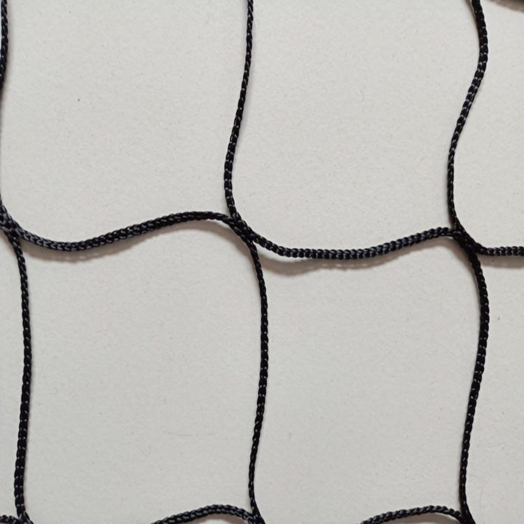 wangziIMG20180728095326