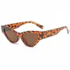 Óculos de Sol de Moda Streetwear Transfronteiriços Novos 2024 Óculos de Sol Moda Feminina Masculina Olho de Gato Popular na Internet Óculos de Sol Versáteis para Street Photoshoot