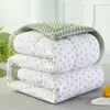 Edredom de Algodão Lavado Versão AB com Veludo Leite para Primavera e Outono, Forrado com Lã para Aquecimento, Edredom de Inverno com Núcleo de Edredom de Soja Espesso e Quente