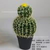 Cacto de simulação cacto em vaso suculenta planta de simulação deserto tropical simulação verde paisagismo decoração ornamentos