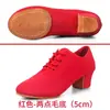 Zapatos de Baile Latino para Mujer, Tacones Altos, Zapatos de Baile para Adultos de Cuatro Estaciones, Especial para Profesores, Práctica, Sociales, Estándar Nacional, Zapatos de Baile de Tela Oxford