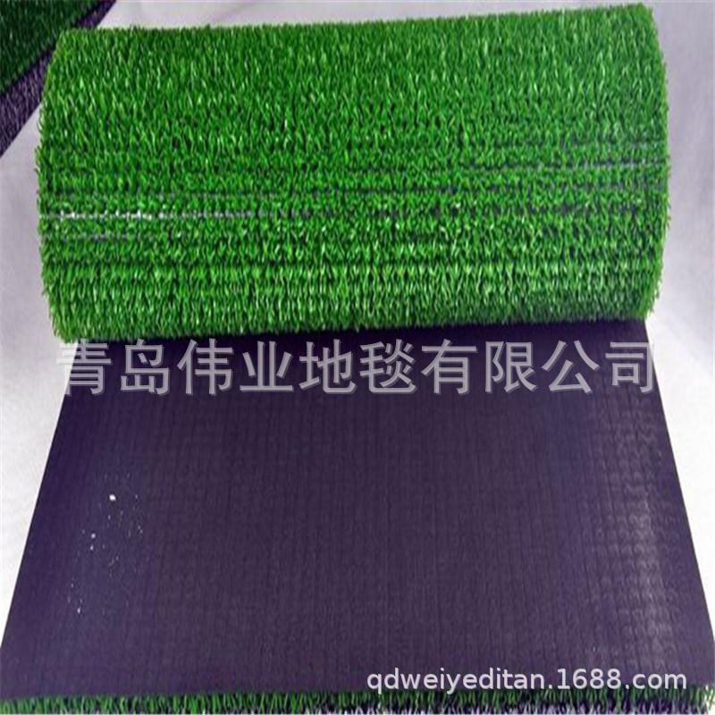NT-PG02-1.jpg