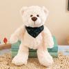 Muñeco Oso de Peluche Oso Flor Oso de Peluche Oso Pareja Oso del Cuidado Oso Regalo de Confesión Lote de Muñecos Oso