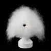 Patches de Pele Sintética para Animais de Estimação Prática de Esteticista Patches de Pelo nas Costas Pelo de Cachorro Pelo da Cabeça Poodle Esqueleto Teddy Bichon Modelo