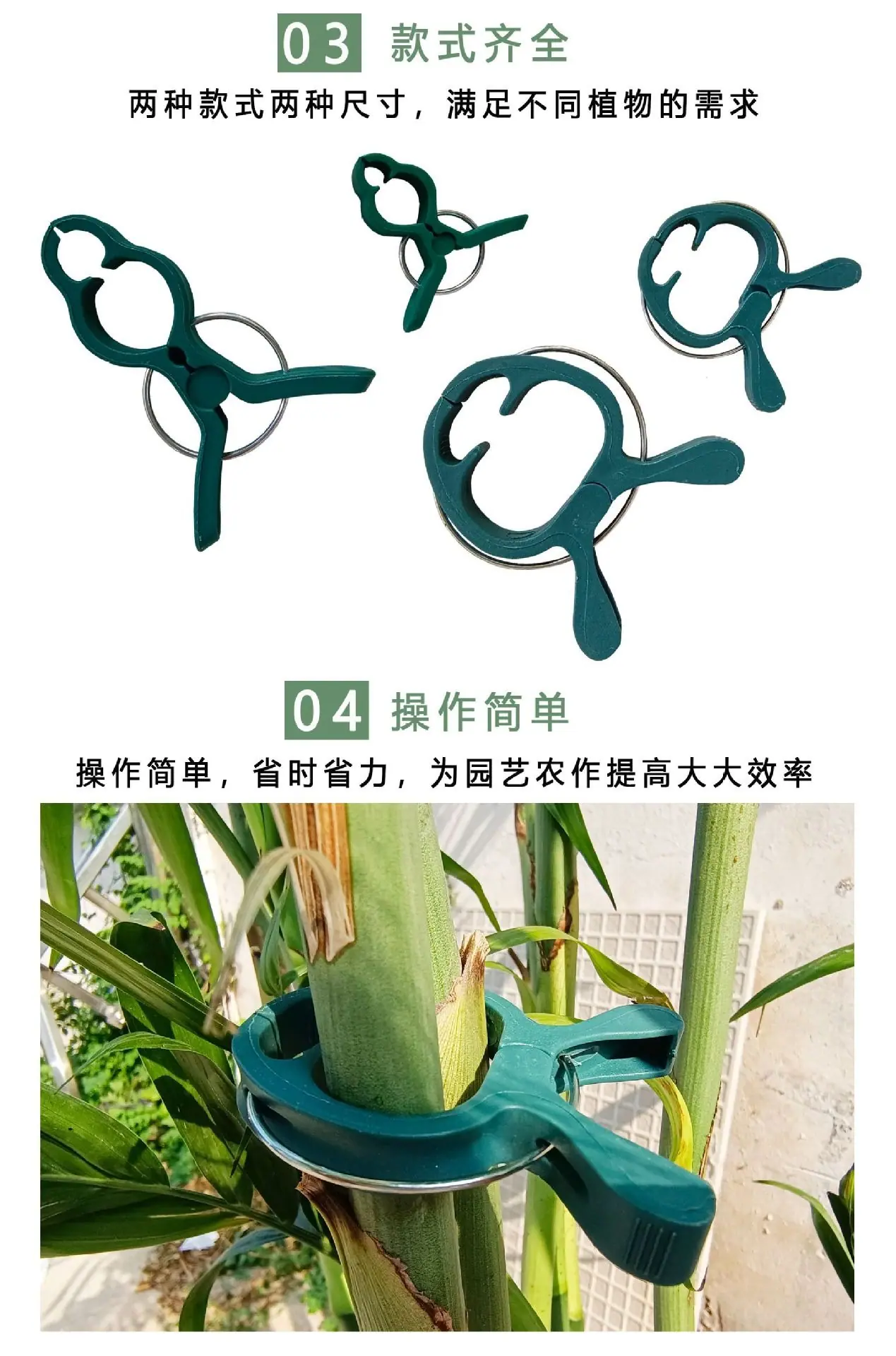 详情2