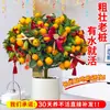 Planta de Kumquat de Cuatro Estaciones en Maceta con Fruta Comestible, una Planta Atractora de Fortuna para Sala de Estar de Uso Interior, Flor de Año Nuevo, Árbol Frutal Naranja, Planta Verde