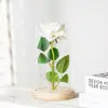 Rosa Artificial Flor Eterna Cobertura de Vidro Dia das Mães Dia dos Namorados Presente de Natal Decoração Ornamentos Fábrica Atacado