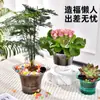 Maceta Autoriegante de Almacenamiento de Agua para Plantas de Interior, Phalaenopsis, Suculentas, Transpirable, Plástico Imitación Cristal, Nutrición Hídrica, Hidropónica, Cuadrada, Grande