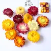 Flores Secas e Frutas Secas Material DIY Pinhas de Algodão Canela Limão Adereços de Tiro Jardim de Infância Pacote de Material Artesanal DIY