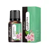 Comercio exterior transfronterizo en stock rosa lirio inglés completo aromaterapia aceite esencial soluble en agua humidificador suplemento de aromaterapia sin fuego
