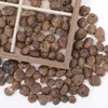 Material de cascabel de cáscara de fruta natural Componentes de accesorios para muñeca de cáscara de fruta semiacabados hechos a mano DIY Materias primas para campana de viento curativa