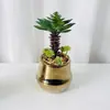 Estilo Lujo Ligero Árbol Pequeño Chapado en Oro, Planta Verde Artificial, Decoración de Mesa para Hogar, Oficina, Restaurante, Hotel, Adorno Pequeño