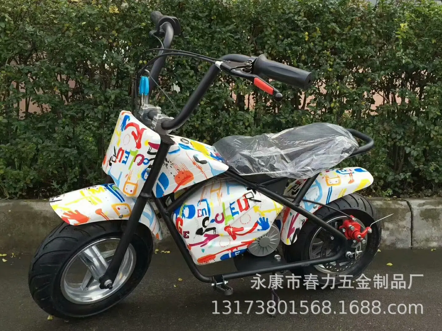 29.jpg