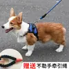 Correa para Perro, Arnés para Mascota, Arnés de Hueso, Cadena Explosiva para Perro, Pequeño, Mediano y Grande Suministros para Mascotas