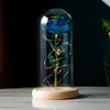 Flor Eterna Flor de Rosa Pantalla de Lámpara de Vidrio Flor de Simulación Navidad Día de San Valentín Regalo de Cumpleaños Regalos Pequeños Creativos Adornos