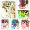 Amazon Transfronterizo Bolsa Kit de Materiales de Flores Secas A5 Kit de Materiales de Flores Prensadas Flores Conservadas DIY Fabricante de Flores Prensadas Venta al por Mayor
