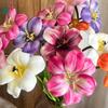 Tulipanes de Cara Sonriente, Narcisos, Muebles para Sala de Estar Interior del Hogar, Flores de Seda, Fotografía de Exhibición Comercial, Flores Artificiales Decorativas