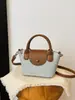 Bolso de mujer de moda con un solo hombro, modelo nuevo Otoño/Invierno 2026, color liso, bolso cruzado simple, bolso pequeño cuadrado para el día a día